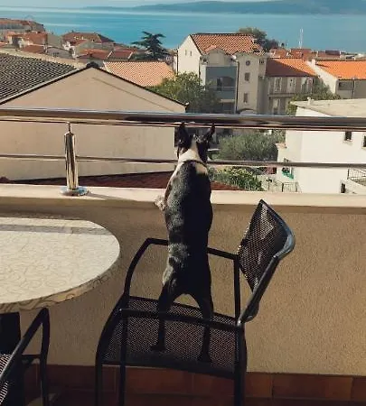 Apartment Apartments Vila Adrijana & Fitness Studio Wolf *