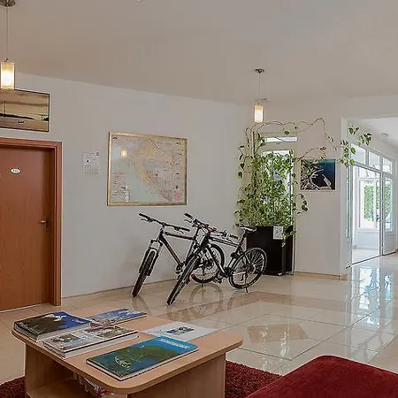 Apartments Vila Adrijana & Fitness Studio Wolf Apartment Baska Voda