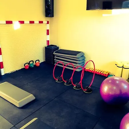 Apartments Vila Adrijana & Fitness Studio Wolf Apartment *